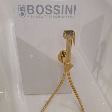 Progresyvinis bidė maišytuvas su dušeliu PALOMA-BRASS PROGRESSIVE (metalinė galvutė), auksas, Bossini 1