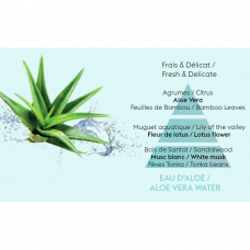 Аромат для автомобиля Aloe Vera Water, Maison Berger (дополнение)