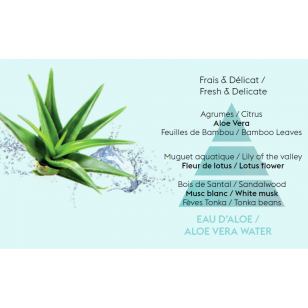 Аромат для автомобиля Aloe Vera Water, Maison Berger (дополнение)