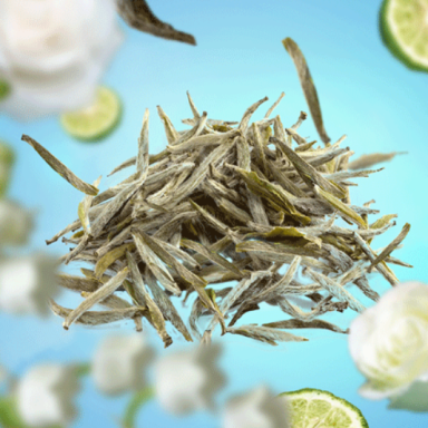Аромат для каталитической лампы Pure White Tea, Maison Berger