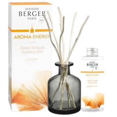 Kvapų indas su pagaliukais GREY AROMA + kvapas Aroma Energy 180ml, Maison Berger 2 Kvapų indas su pagaliukais GREY AROMA + kvapas Aroma Energy 180ml, Maison Berger 2