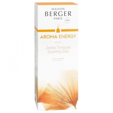 Kvapų indas su pagaliukais GREY AROMA + kvapas Aroma Energy 180ml, Maison Berger 3 Kvapų indas su pagaliukais GREY AROMA + kvapas Aroma Energy 180ml, Maison Berger 3
