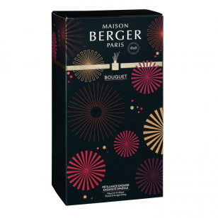 Аромат для дома - палочки CERCLE PLUM Exquisite Sparkle, Maison Berger