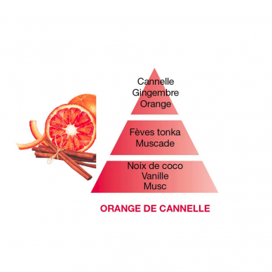 Namų kvapų indas PYRAMIDE ANTIQUE PINK + kvapas ORANGE CINNAMON 200ml, Maison Berger 3